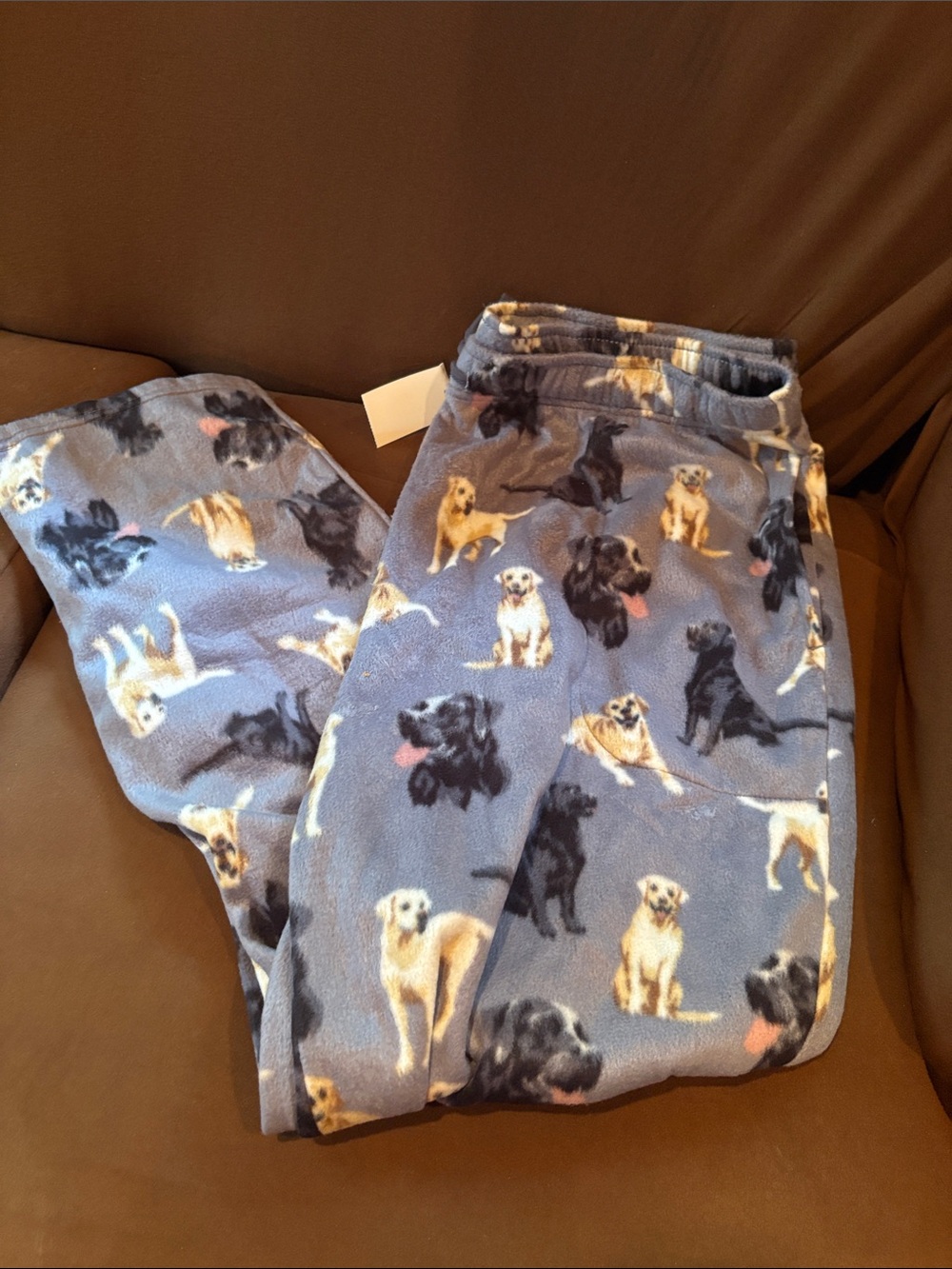 Kohl's Blue Fleece Joggers with Dog Print